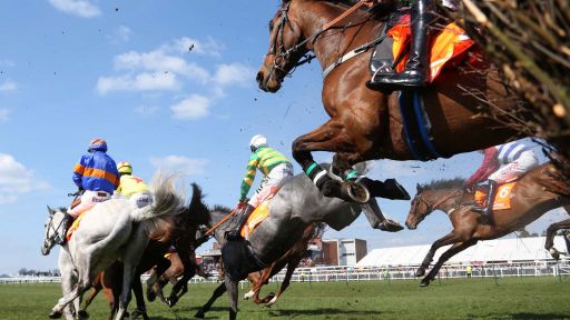 Grand National 2010