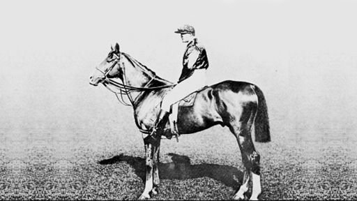 Wild Man From Borneo